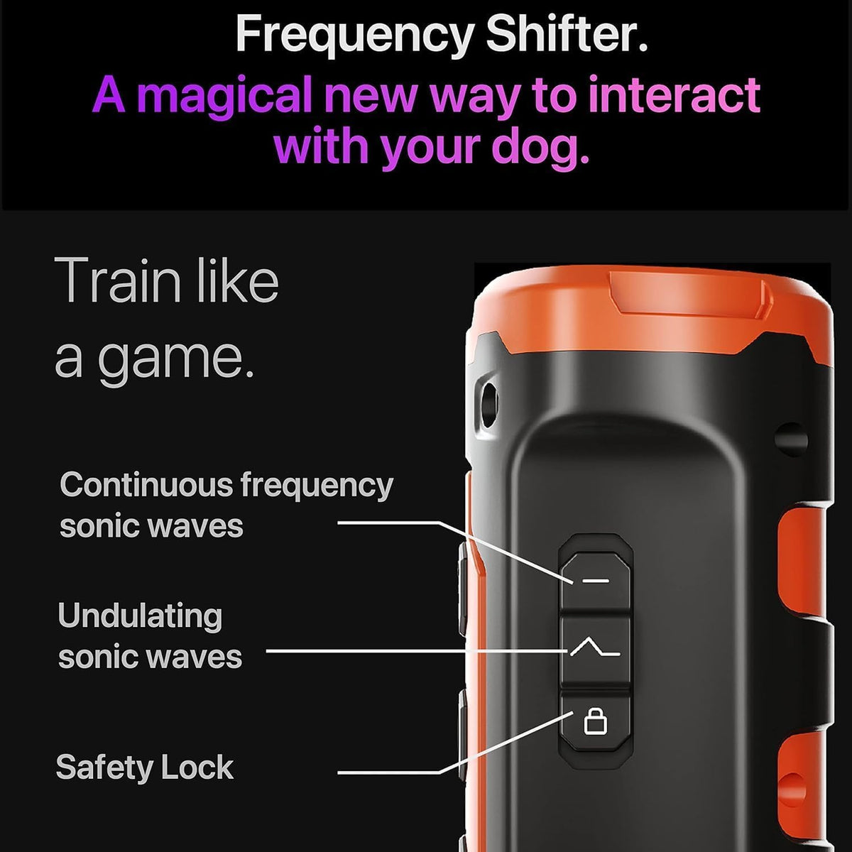 2025 New Dog Trainer