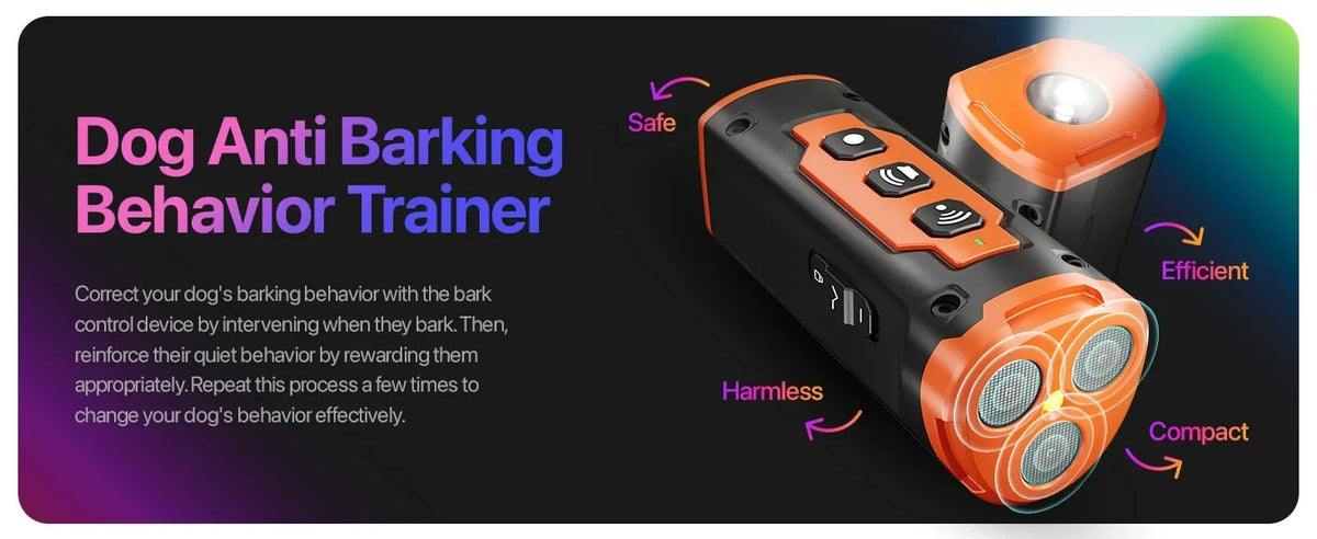 2025 New Dog Trainer